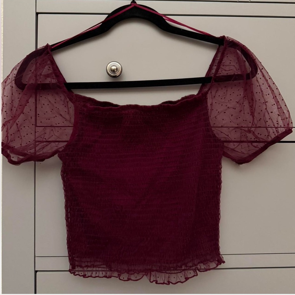 Ambiance Burgundy Sheer Sleeve Crop Top
